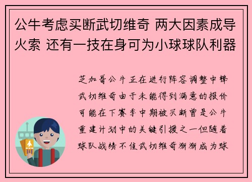 公牛考虑买断武切维奇 两大因素成导火索 还有一技在身可为小球球队利器